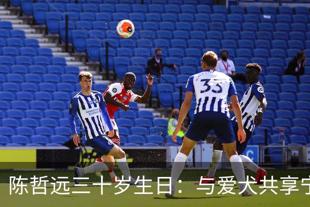 陈哲远三十岁生日：与爱犬共享宁静时刻的反思